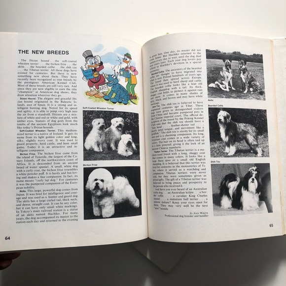 1979 1980 Walt Disney’s Wonderful World of Knowledge Picture Book Yearbook - Picture 11 of 14